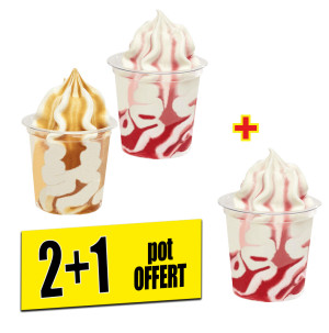 /ext/img/product/bonnes-affaires/26_06_19/100_glace_1.jpg