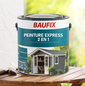 /ext/img/product/bonnes-affaires/26_06_24/300_peinture_1.jpg