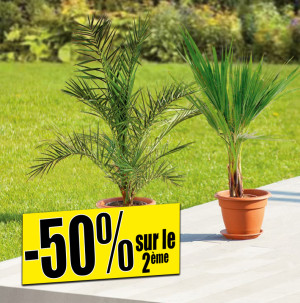 /ext/img/product/bonnes-affaires/26_06_24/500_assortiment_1.jpg