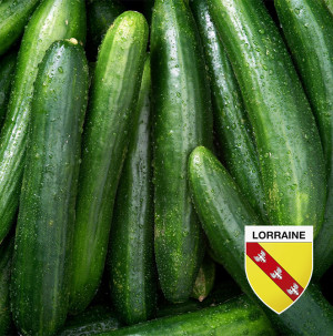/ext/img/product/bonnes-affaires/26_06_24/600_concombre_1.jpg