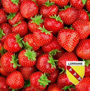 /ext/img/product/bonnes-affaires/26_06_24/600_fraises_1.jpg