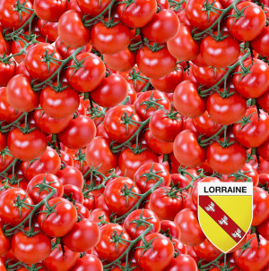 /ext/img/product/bonnes-affaires/26_06_24/600_tomates_1.jpg