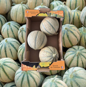 /ext/img/product/bonnes-affaires/26_06_26/100_melon_1.jpg