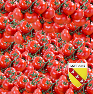 /ext/img/product/bonnes-affaires/26_07_01/200_tomates_1.jpg