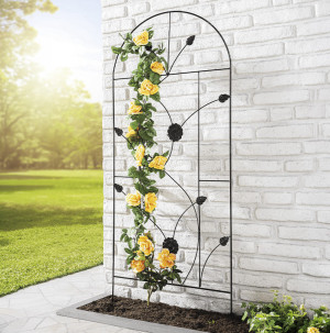 /ext/img/product/bonnes-affaires/26_07_01/300_espalier_1.jpg