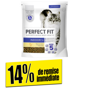 /ext/img/product/bonnes-affaires/26_07_03/100_croquettes_1.jpg
