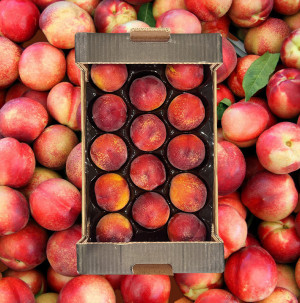 /ext/img/product/bonnes-affaires/26_07_03/100_nectarines_1.jpg