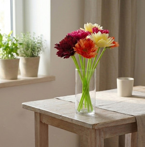 /ext/img/product/bonnes-affaires/26_07_08/500_tige_1.jpg