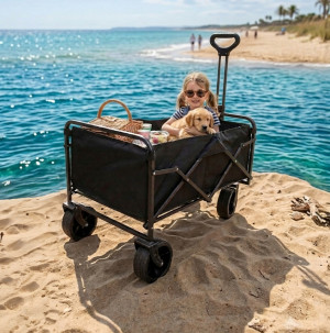 /ext/img/product/bonnes-affaires/26_07_15/400_chariot_1.jpg