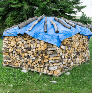 /ext/img/product/bonnes-affaires/26_07_22/100_bache_1.jpg