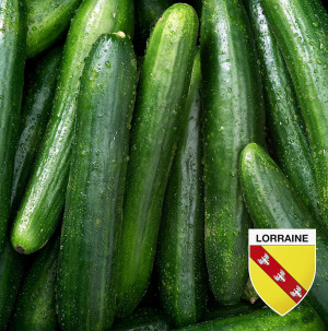 /ext/img/product/bonnes-affaires/26_07_22/200_concombre_1.jpg