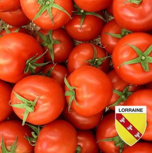 /ext/img/product/bonnes-affaires/26_07_22/200_tomates_1.jpg