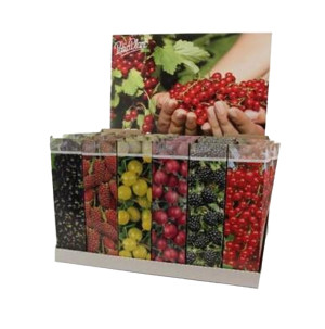 /ext/img/product/bonnes-affaires/26_07_22/500_arbuste_1.jpg