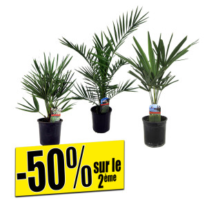 /ext/img/product/bonnes-affaires/26_07_22/500_assortiment_1.jpg