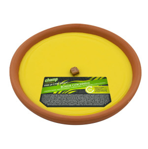 /ext/img/product/bonnes-affaires/26_07_22/800_bougie_1.jpg