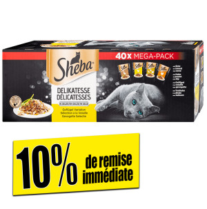/ext/img/product/bonnes-affaires/26_07_27/200_repas_1.jpg