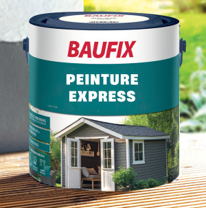 /ext/img/product/bonnes-affaires/26_07_29/300_peinture_1.jpg