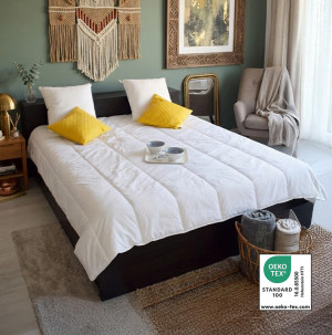 /ext/img/product/bonnes-affaires/26_08_05/100_couette_1.jpg