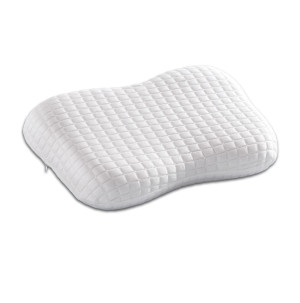 /ext/img/product/bonnes-affaires/26_08_05/100_coussin_1.jpg
