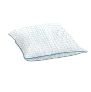 /ext/img/product/bonnes-affaires/26_08_05/100_oreiller2_1.jpg