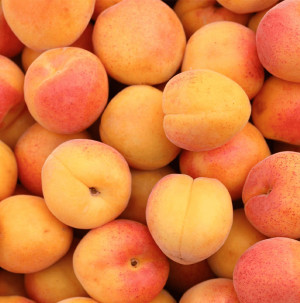 /ext/img/product/bonnes-affaires/26_08_05/200_abricots_1.jpg