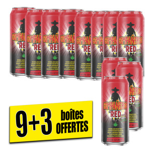 /ext/img/product/bonnes-affaires/26_08_05/700_biere1_1.jpg