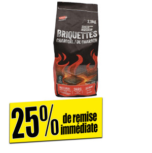 /ext/img/product/bonnes-affaires/26_08_13/100_briquettes_1.jpg