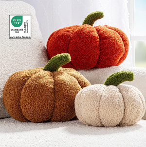/ext/img/product/bonnes-affaires/26_08_19/400_coussin1_1.jpg