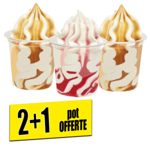/ext/img/product/bonnes-affaires/26_08_19/800_glace_1.jpg