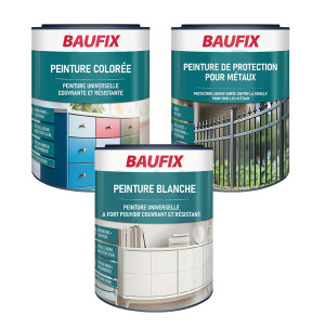 /ext/img/product/bonnes-affaires/26_08_26/100_peinture2_1.jpg