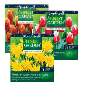 /ext/img/product/bonnes-affaires/26_08_26/500_assortiment2_1.jpg