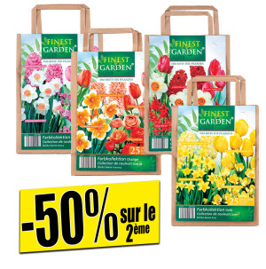 /ext/img/product/bonnes-affaires/26_08_26/500_assortiment_1.jpg