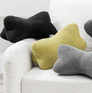 /ext/img/product/bonnes-affaires/26_08_31/100_coussin1_1.jpg