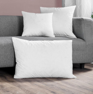 /ext/img/product/bonnes-affaires/26_08_31/100_coussin_1.jpg