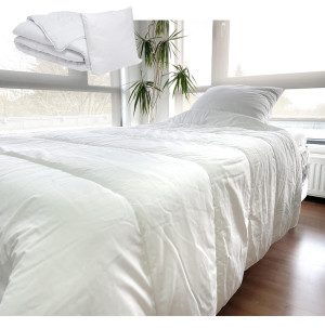 /ext/img/product/bonnes-affaires/26_09_02/100_couette_1.jpg