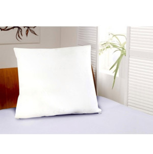 /ext/img/product/bonnes-affaires/26_09_02/100_oreillerconfort_1.jpg