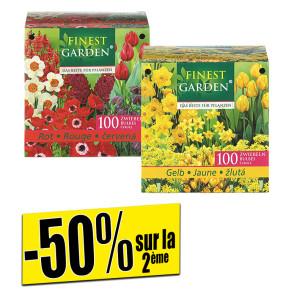 /ext/img/product/bonnes-affaires/26_09_02/500_bulbes_1.jpg