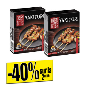 /ext/img/product/bonnes-affaires/26_09_02/900_yakitori_1.jpg