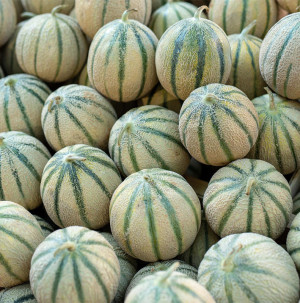 /ext/img/product/bonnes-affaires/26_09_04/100_melons_1.jpg