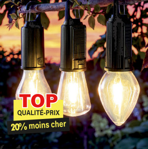 /ext/img/product/bonnes-affaires/26_09_09/100_ampoule_1.jpg