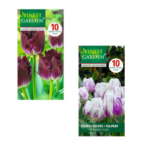 /ext/img/product/bonnes-affaires/26_09_09/500_bulbes_1.jpg