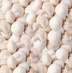 /ext/img/product/bonnes-affaires/26_09_11/100_champignons_1.jpg