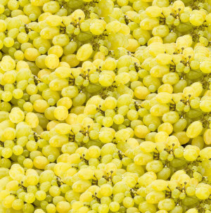 /ext/img/product/bonnes-affaires/26_09_18/100_raisins_1.jpg