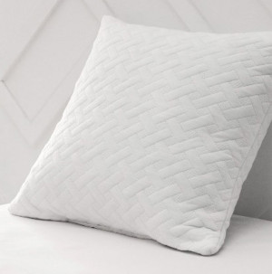 /ext/img/product/bonnes-affaires/26_09_23/100_oreiller1_1.jpg