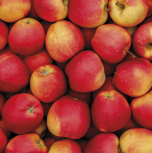 /ext/img/product/bonnes-affaires/26_09_23/200_pommes_1.jpg