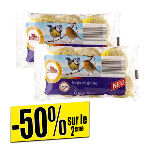 /ext/img/product/bonnes-affaires/26_09_23/800_boules_1.jpg