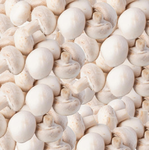 /ext/img/product/bonnes-affaires/26_10_02/100_champignons_1.jpg