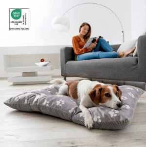 /ext/img/product/bonnes-affaires/26_10_05/100_coussin1_1.jpg