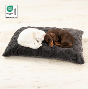 /ext/img/product/bonnes-affaires/26_10_05/100_coussin_1.jpg