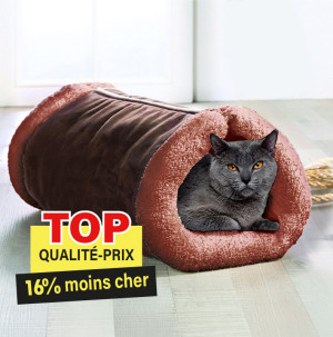 /ext/img/product/bonnes-affaires/26_10_05/100_tunnel_1.jpg